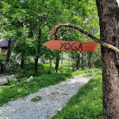 Stara Hisa Διαμέρισμα Log Cezsoski Εξωτερικό φωτογραφία