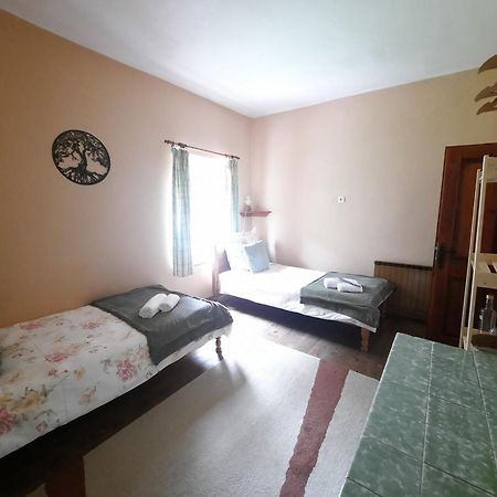 Stara Hisa Διαμέρισμα Log Cezsoski Εξωτερικό φωτογραφία